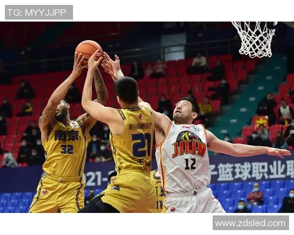 南京篮球队灵活性排名第五彰显实力与潜力引发关注